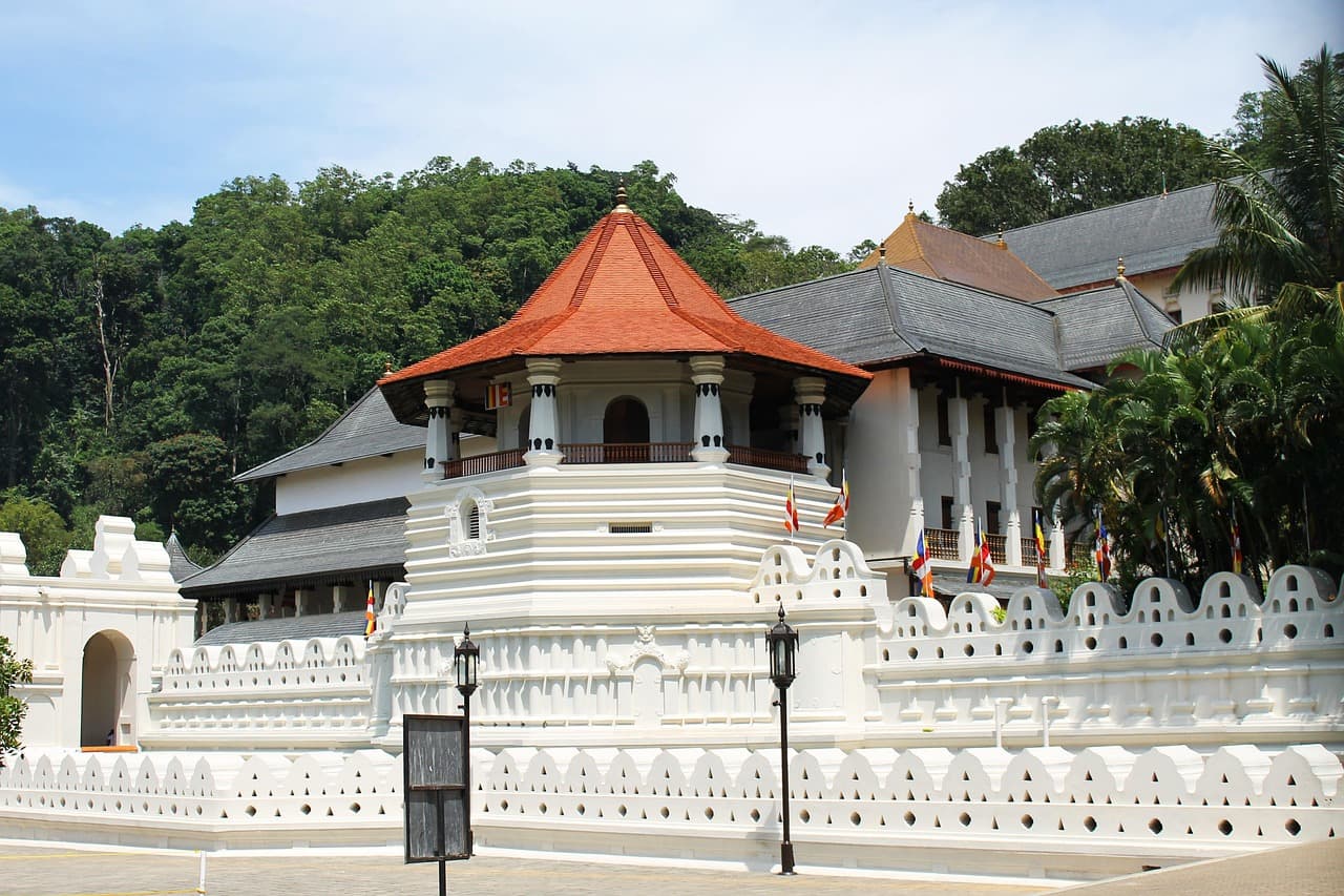 Sri Lanka 10-Day Cultural Immersion travel image